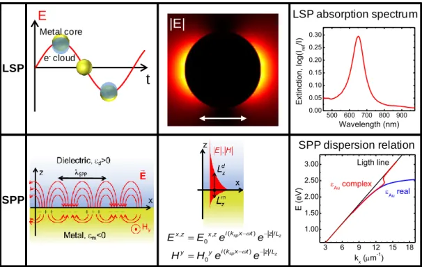 Figure 1. Top: (left) Sketch of charges oscillation for a localized surface plasmon (LSP)  in a metallic nanoparticle; (center) Calculated field distribution for a Au nanodisk under  LSP excitation; (right) Extinction spectrum of a set of Au nanodisks (120