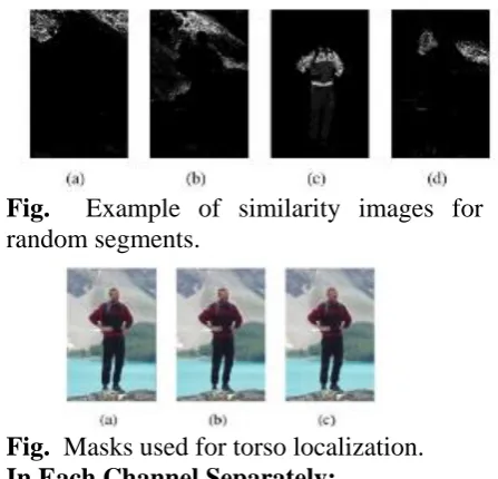 Fig.  Example of similarity images for random segments. 