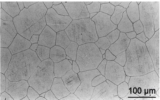 Figure 1. Microstructure of the ISO NBR 5832-1 used in this study. 