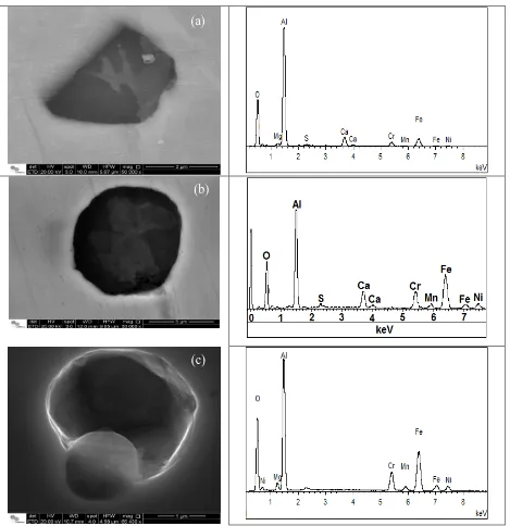 Figure 2. Types of inclusions found in the NBR 5832-1 stainless steel in the as received condition