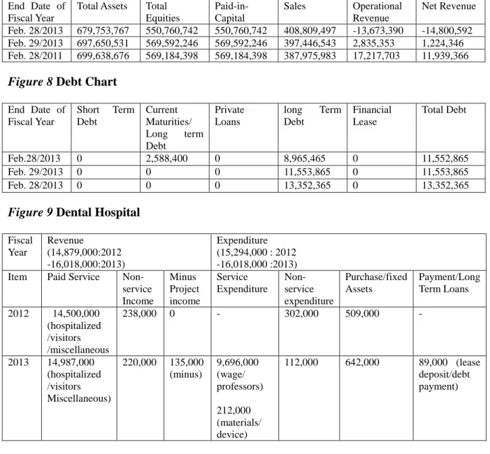 Figure 8 Debt Chart 