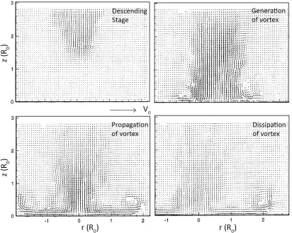 Figure 1.8: Simulated microburst vorticity field obtained through the PIV 