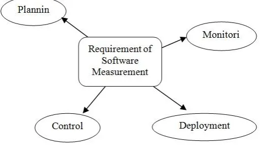 Figure 1: Software Measurement Requirements 