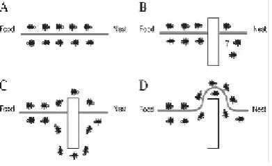 Figure 1 : Routing in WSN 