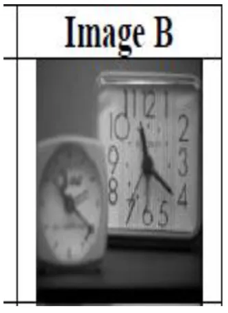 Fig : 4 the fused image.  