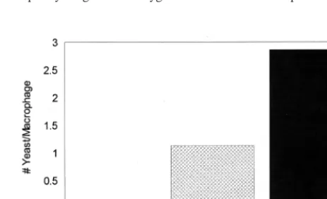 FIG. 1. Effect of in vitro exposure to AII on the phagocytic capability ofmurine peritoneal macrophages