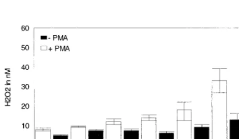 FIG. 5. Effect of in vitro exposure to AII on the respiratory burst activity ofhuman peripheral blood mononuclear cells after exposure to PMA