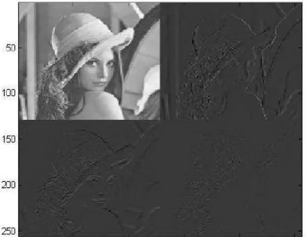 Figure 3: The image “lena” after one Haar wavelet  transform  