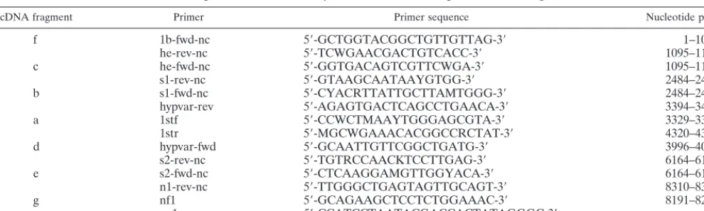 TABLE 1. Oligonucleotides used to synthesize the cDNA fragments of SDAV genomic RNA