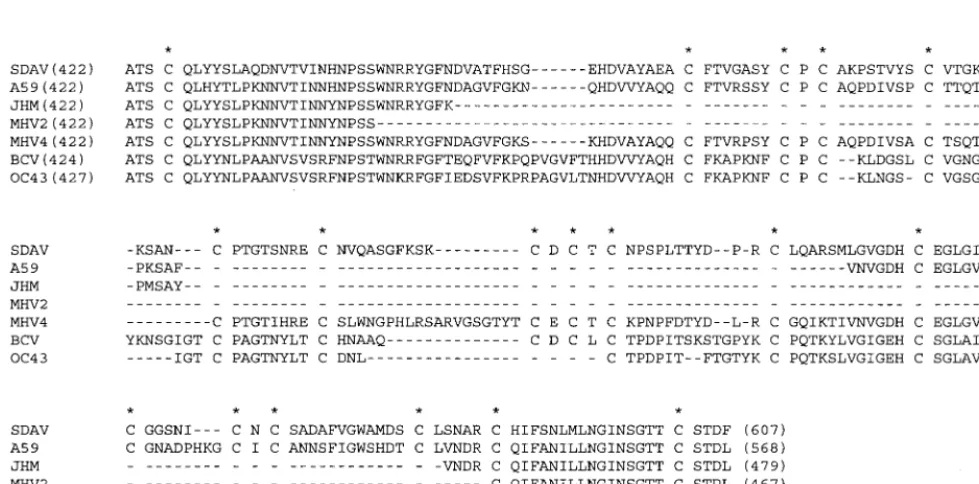TABLE 2. Sequence identities between SDAV and othercoronaviruses of the same serogroupa