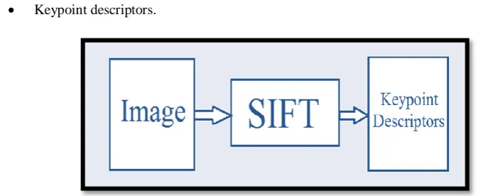 Fig. 1 Example of an unacceptable low-resolution image 