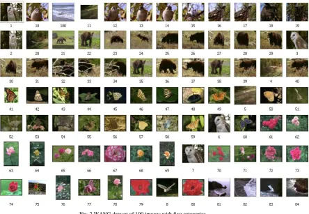 Fig. 2 WANG dataset of 100 images with five categories 