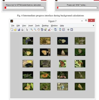 Fig. 6 Intermediate progress interface during background calculations 