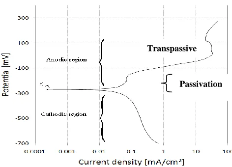Figure 4. Potentiodynamic polarization curve for a copper coin in a 3% NaCl solution. 