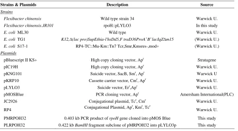 Table 1.  Strains, plasmids used in this study 