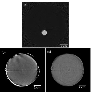 Figure 2.5: (a) A reconstruction slice (window =carbon black 7.5% propylene glycol solution scanned with the larger LED source