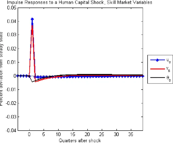 Figure 4: Impulse Responses to a Human Capital Shock, Skilled (σ = 1.4)