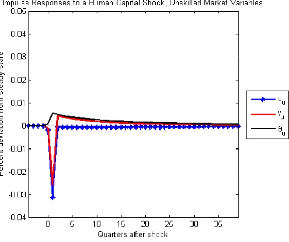 Figure 5: Impulse Responses to a Human Capital Shock, Unskilled (σ = 1.4)