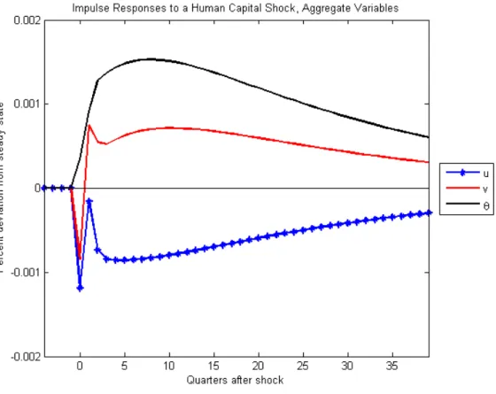 Figure 6: Impulse Responses to a Human Capital Shock, Aggregate (σ = 1.4)