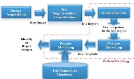 Fig 1. Iris Detection System 