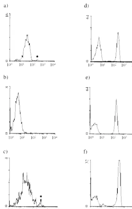 FIG. 4. Localization of the CD4—anti-CD4–PE MAb complex with goatanti-mouse Ig–FITC. The experiment was performed as outlined in Fig