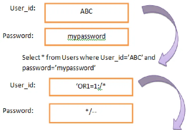 Fig. 1  SQL Injection 