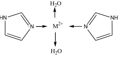 Figure 8.  Protonation of imidazole in acidic medium. 