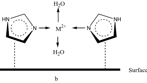 Figure 10a. Schematic representation of the mode of adsorption of Imidazole. 