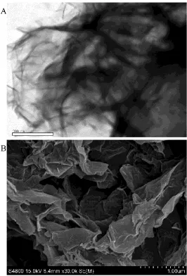 Figure 1. TEM (A) of graphene in DMF solvent and SEM (B) image of graphene-film modified GCE