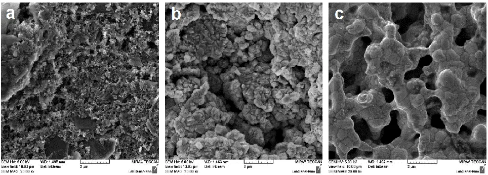Figure 3. SEM characterization of screen-printed electrodes: a) working electrode (DuPont BQ221), b) reference electrode (DuPont 5874), c) auxiliary electrode (ESL 5545)