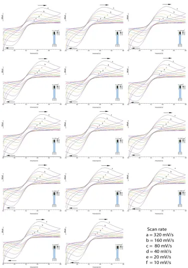 Figure 4. Cyclic voltammograms of potassium ferro-ferricyanide system measured by tested differently sized REs using six scan rates