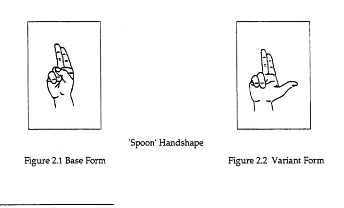 Figure 2.2 Variant Form