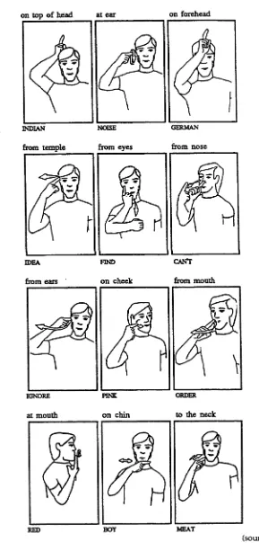 Table 2.3 The Function of Sign Location in Auslan