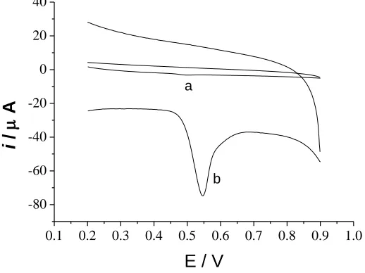 Figure 5  Cyclic voltammograms of  6.0×10-5 mol/L UA at the bare electrode (a) and the graphene-modified  electrode (b) in pH 4.0 PBS, scan  rate:120mV/s