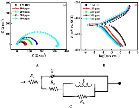 Figure 2.  (a) Nyquist plots, (b) Typical polarization curves for corrosion of mild steel in 1 M HCl in the absence and presence of different concentrations of CFP and (c) the electrochemical equivalent circuit used to fit the impedance measurements