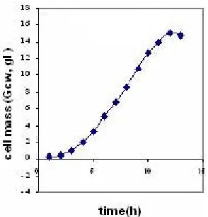 Figure 1.  Growth curve of E. coli DH5α-pCMVs in batch method fermentation. 