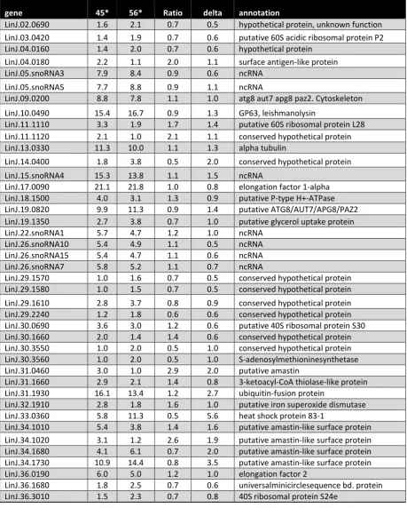 Table 3: Gene CNVs in the Spanish L. infantum isolates Linf_LLM45 and Linf_LLM56 