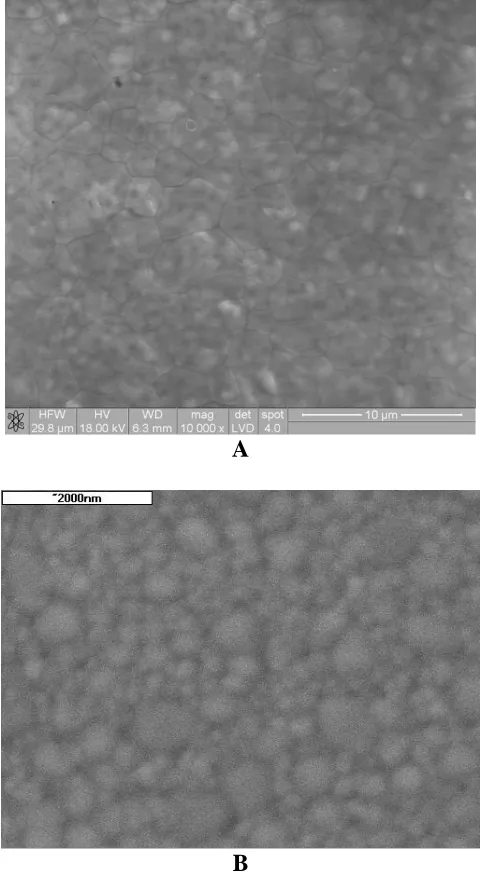 Figure 4. a) The microstructure of a Ce0.78Gd0.2Sr0.02O2 two-hour sintered sample at 1500°C from powder (method A); b) The microstructure of a Ce0.78Gd0.2Sr0.02O2 two-hour sintered sample at 1250°C from powder (method B)