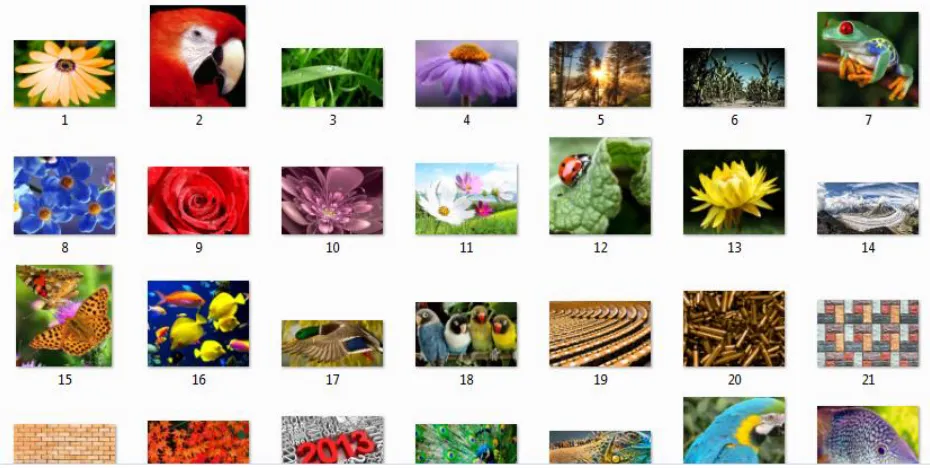 Fig 3.1 : HR Database (HR training images) 