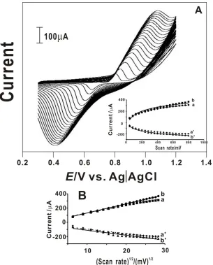 Figure 3. (A) Cyclic voltammograms of MWCNT-NiOx film at GCE in pH 9 at various scan rates from inner to outer are: 40 to 800 mVs-1