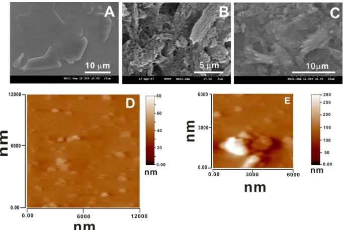 Figure 5.  SEM images of ITO electrode modified with (A) only NiOx, (B) only MWCNT, (C) MWCNT-NiOx and AFM images of ITO electrode modified with (D) only NiOx, and (E) MWCNT- NiOx