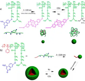 Figure 2.9 Schematic illustration of: a) Preparation of P(DMAEMA-co-CMA) single-chain nanoparticles through intrachain photo-cross-linking and the gas-switchable size change of nanoparticle in aqueous solution; b) Preparation of tadpole-like PS-b-P(DMAEMA-