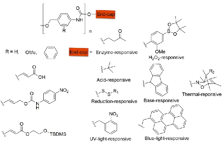 Figure 2.16 Modification of poly(benzyl carbamate) SIP via backbone structures and 