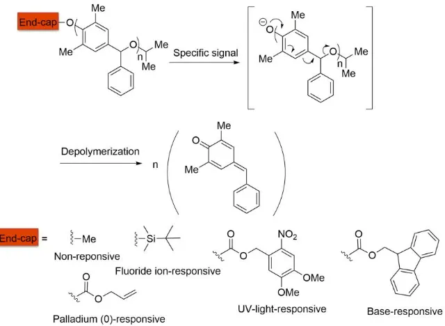 Figure 2.17 Chemical structure and depolymerization mechanism of poly(benzyl 