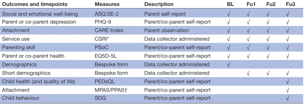 Table 1 Overview of measures