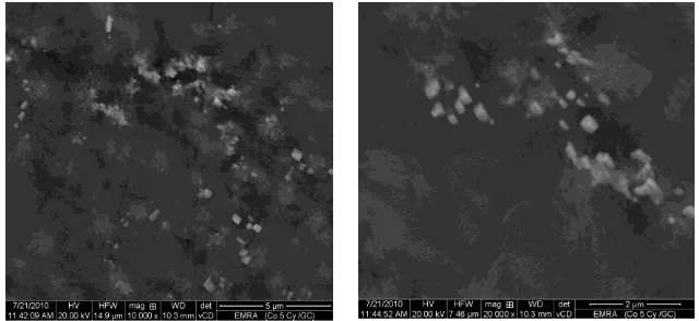 Figure 1.(A) FE-SEM micrographs of the electrodeposited CoOx on the GC substrate. Note that CoOis electrodeposited as described in the experimental section