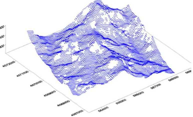 Figure 2.1Typical DEM (Gonçalves 2008) 