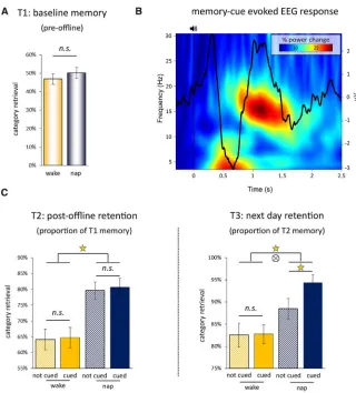 Figure 2. Behavior and Evoked Responses