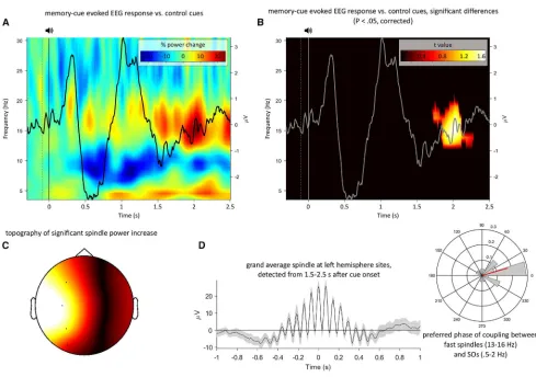 Figure 3. Time-Frequency Representation(A) Time-frequency representation (TFR) difference map of responses elicited by old memory cues versus new control adjectives, with the corresponding ERP forold cues superimposed.(B) Same as (A) but after statistical 