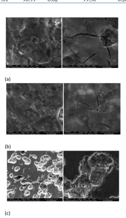 Figure 4. SEM images of anode surface at different gas flow rate (a) no gas flow, (b) gas flow rate = 5 l/min, and (c) gas flow rate= 10 l/min